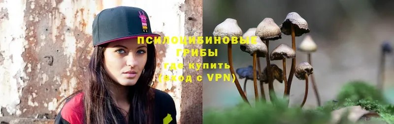 блэк спрут ТОР  Анжеро-Судженск  Псилоцибиновые грибы Psilocybe 